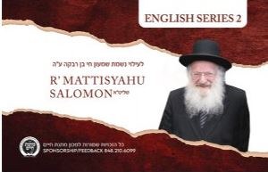 Rav Mattisyahu Salomon Vaadim English Series Volume 2 USB