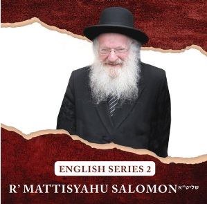 Rav Mattisyahu Salomon Vaadim English Series Volume 2 CD