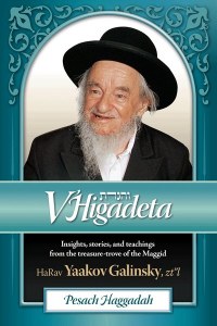 V'Higadeta Pesach Haggadah [Hardcover]