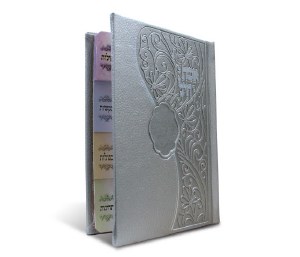 Eishes Chayil Leather Hard Cover - Silver