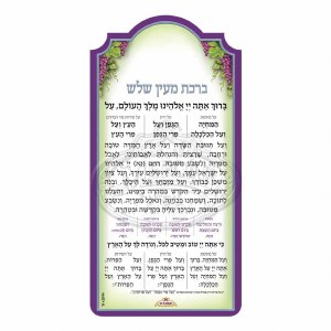 Al HaMichyah Magnet Purple Green Grapes Design Ashkenaz 8.2" x 4.3"