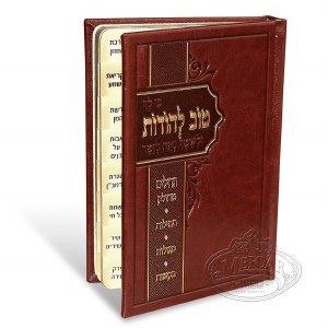 Tehillim with Tov L'Hodos Tefillos Brown Faux Leather [Hardcover]