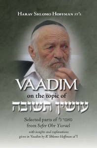 Vaadim on the topic of Osin Teshuva [Paperback]