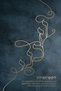 VeZakeini Hebrew Edition [Hardcover]