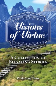 Visions of Virtue [Hardcover]