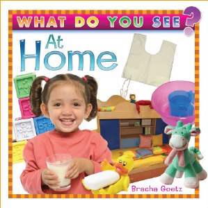 What Do You See at Home? [Boardbook]