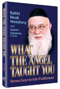 What the Angel Taught You [Hardcover]