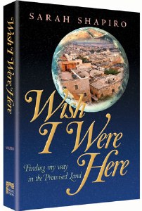 Wish I Were Here [Hardcover]