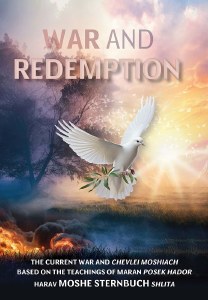 War and Redemption [Paperback]