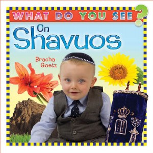 What Do You See on Shavuos? [Boardbook]