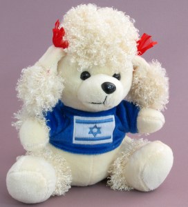 White Poodle with Israeli Flag on Blue Sweater