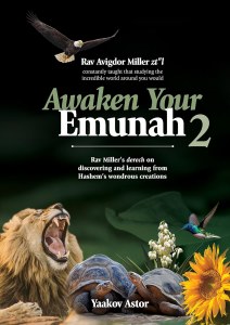 Awaken Your Emunah Volume 2 [Hardcover]