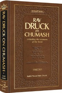Rav Druck on Chumash Vayikra [Hardcover]