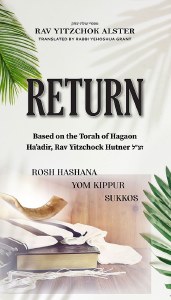 Return [Hardcover]