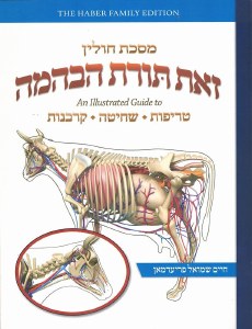 Zos Toras HeBehaima Maseches Chullin [Paperback]