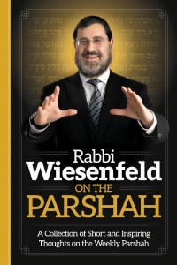 Rabbi Wiesenfeld on the Parshah [Hardcover]