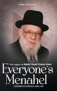 Everyone's Menahel [Hardcover]