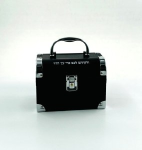 Picture of Aluminum Esrog Box Black Chest