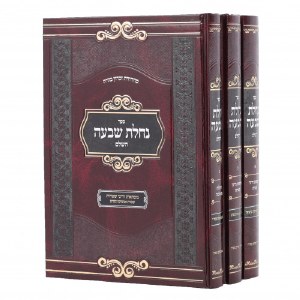 Picture of Nachlas Shiva Hebrew 3 Volume Set [Hardcover]