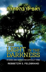 The Light in the Darkness [Hardcover]