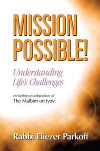 Mission Possible! Understanding Life's Challenges [Hardcover]