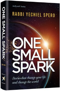 One Small Spark [Hardcover]