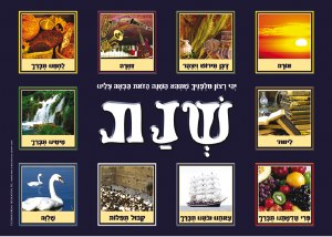 Laminated Sukkah Poster 'This Year Shall Be a Year of...' 20" x 28"