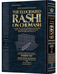 Schottenstein Edition Elucidated Rashi on Chumash Bereishis Volume 2 [Hardcover]