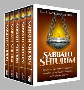 Shabbos Shiurim 5-Volume Slipcased Set [Hardcover]