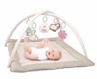 Babies Activity Gym Playmat Kosher Animals Theme