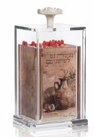 Lucite Matches Holder Jar Painted Chanukah Design