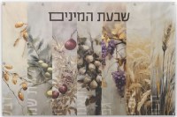 Vinyl Shivas Haminim Wall Hanging Sukkah Decoration Painted by Batya 24" x 18"