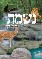 Nishmas Kol Chai Bi Fold Card Hebrew Ashkenaz 4" x 6"