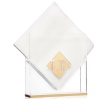 Lucite Napkin Holder Diamond Suspended Design Gold Accent
