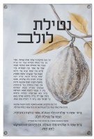 Vinyl Netilas Lulav Wall Hanging Mural Sukkah Decoration Painted by Batya Hebrew Silver 17" x 30"