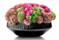Lucite Faux Flowers Succulent Vase Black Pink 12.5"