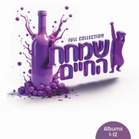 Simchas Hachaim The Ultimate Collection! Volumes 1 Thru 12 USB