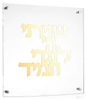 Floating Lucite Shivisi Hashem Hebrew Wall Hanging Classic Design Gold 16"