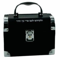 Aluminum Esrog Box with Handle and Clasp Chest Design Black