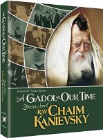 A Gadol in Our Time [Hardcover]