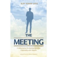 The Meeting [Paperback]