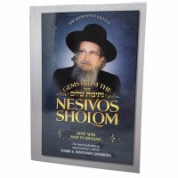 Gems from the Nesivos Shalom Path to Emunah [Hardcover]