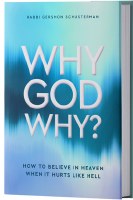 Why God Why? [Hardcover]