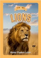 Perek Shira Series Lions DVD
