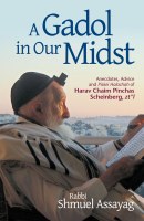 A Gadol in Our Midst [Hardcover]