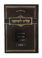 Alim Letrufah Bereishis on the Torah [Hardcover]