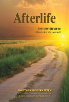 Afterlife [Hardcover]