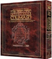 The Schottenstein Edition Interlinear Chumash Volume 3: Vayikra (Leviticus) [Hardcover]