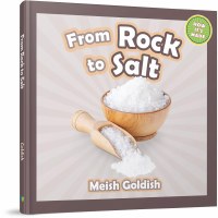 From Rock to Salt [Hardcover]