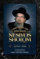 Gems from the Nesivos Shalom Shovavim [Hardcover]